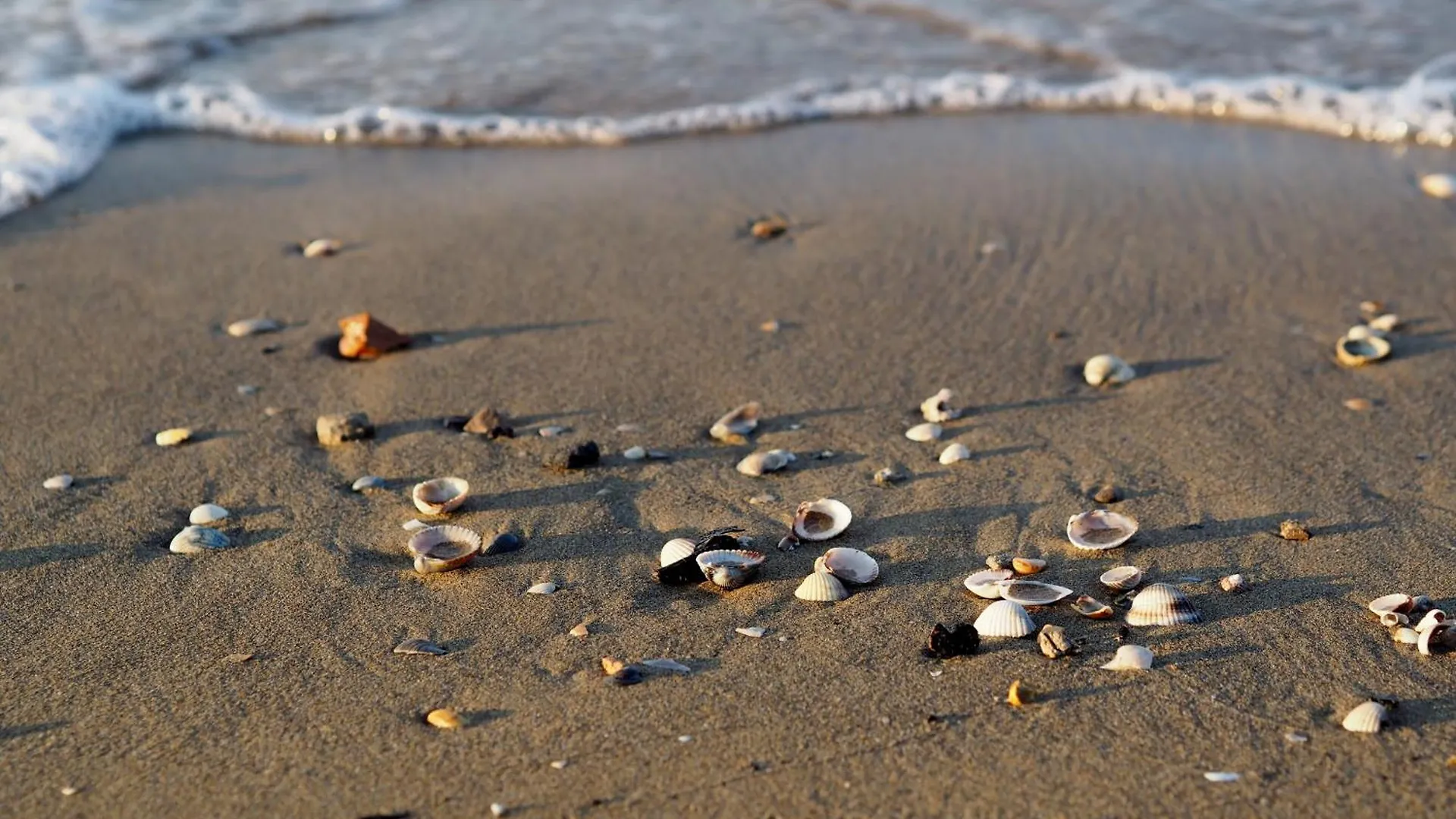 Seafront Building In A Great Location - Beahost Apartment Bibione Italy